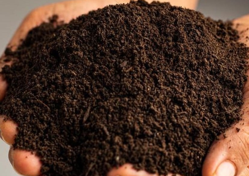 Powder Animal Based Organic Vermicompost Fertilizer