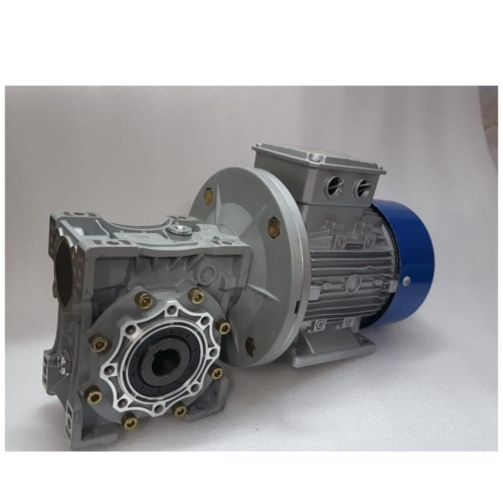 BLDC Worm Gear Motor