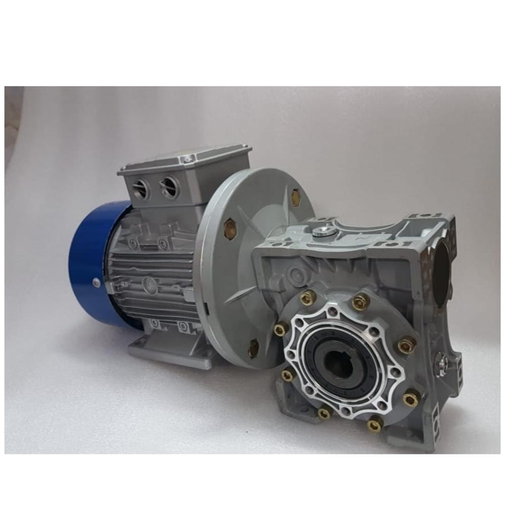BLDC Worm Gear Motor