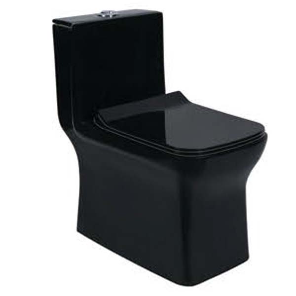 111-Black Designer One Piece Toilet