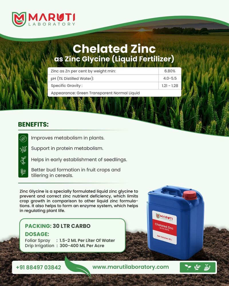 Chelated Zinc as Zinc Glycine (Liquid Fertilizer)