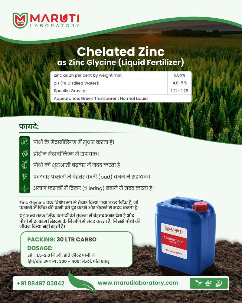 Chelated Zinc as Zinc Glycine (Liquid Fertilizer)