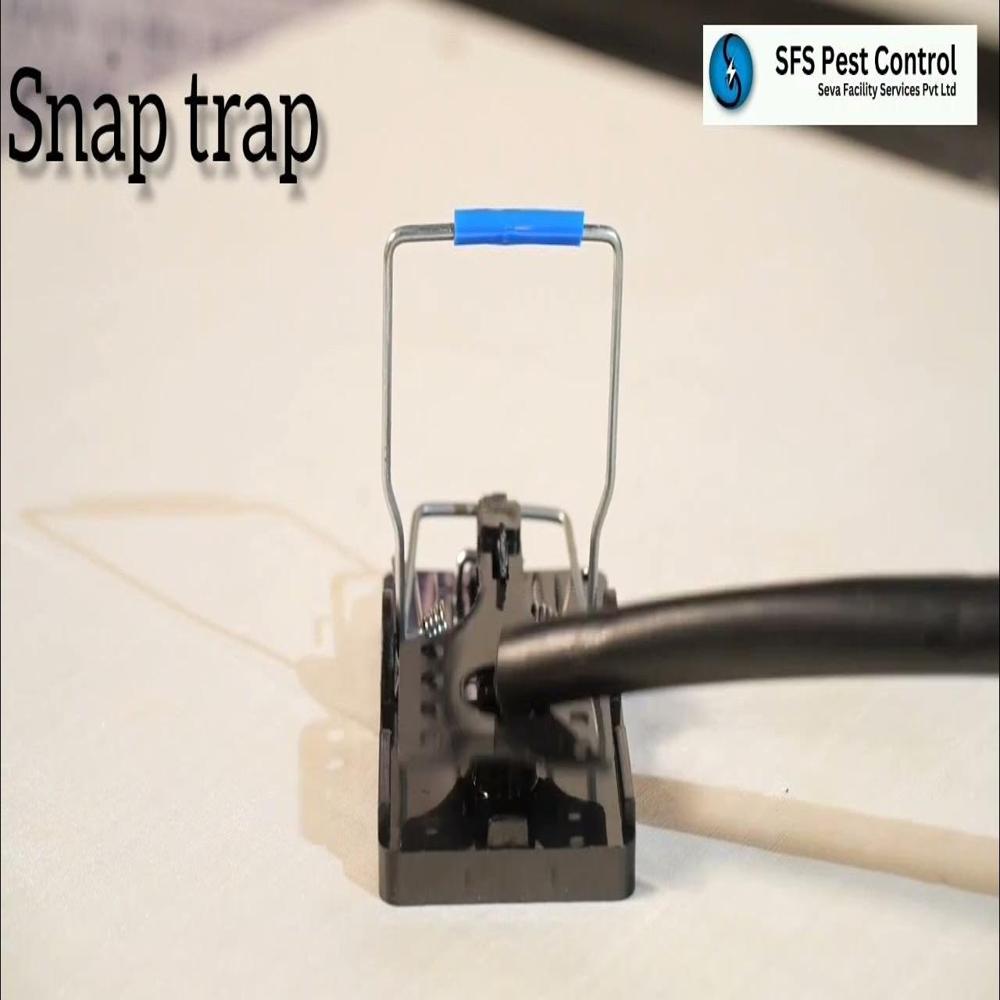 Rat Snap Trap - Feature: High Efficiency