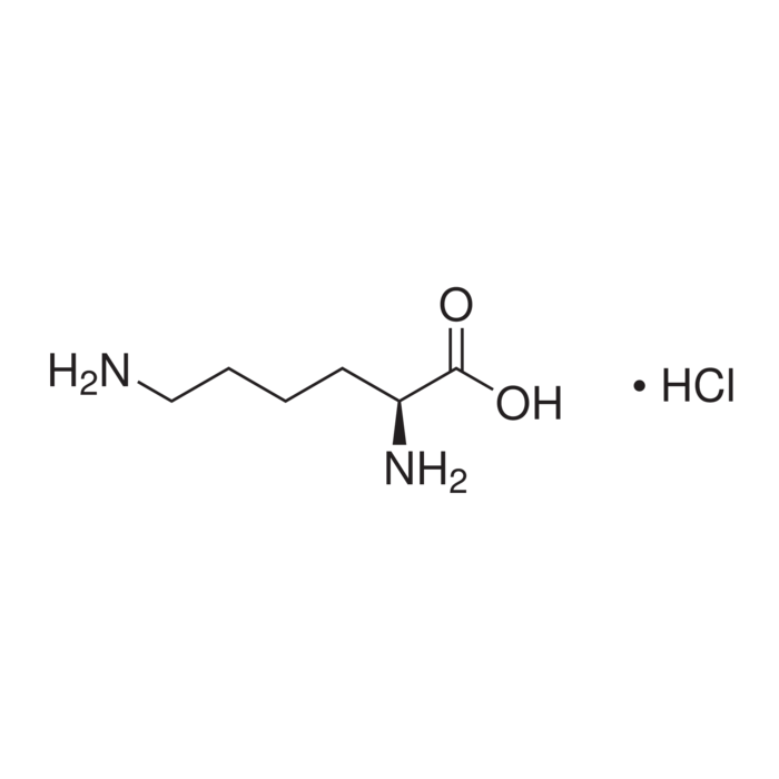 L Lysine Hydrochloride