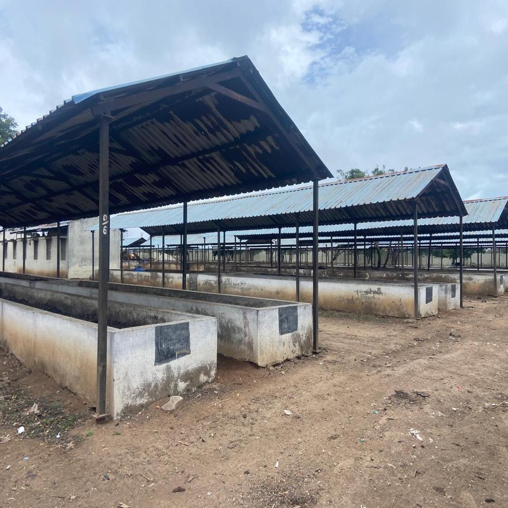 Bio Enrich Organic Manure