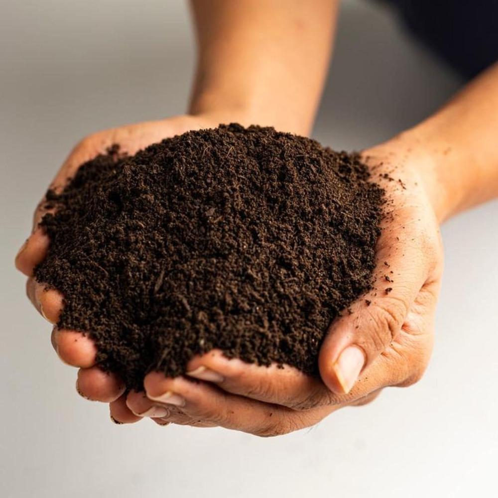 Animal Based Powder Vermicompost Fertilizer For Plants