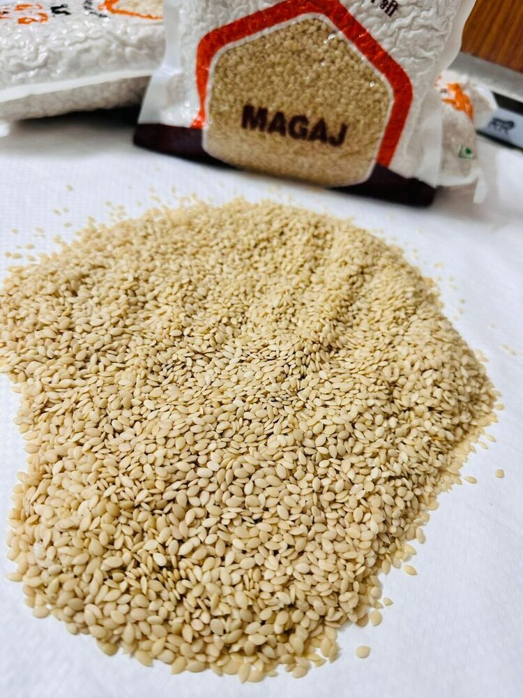 Magajtari Seeds