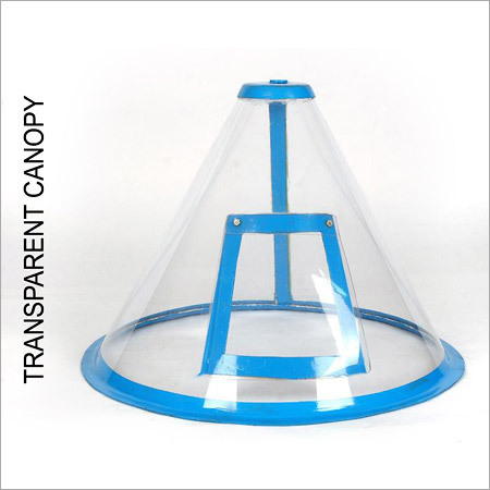 पारदर्शी छतरी