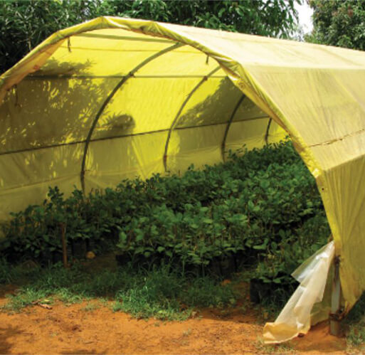 Nursery Sheds  Low Tunnel Sheets