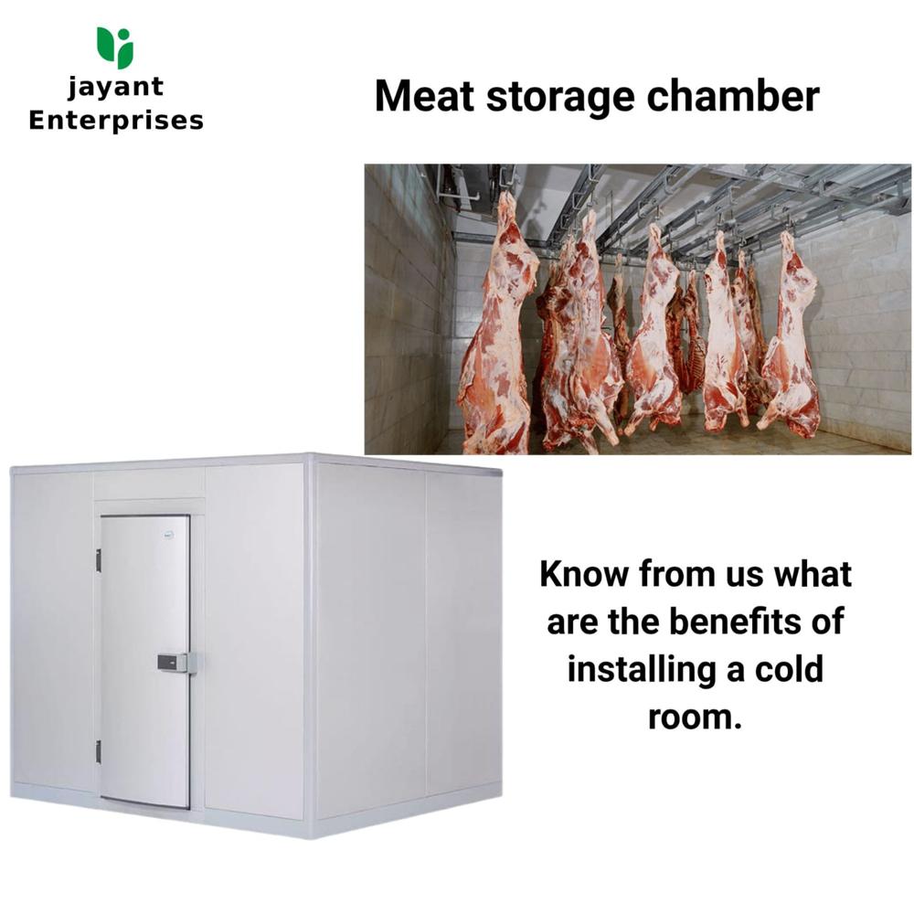 Meat Storage Chamber - Capacity: 5 Ton