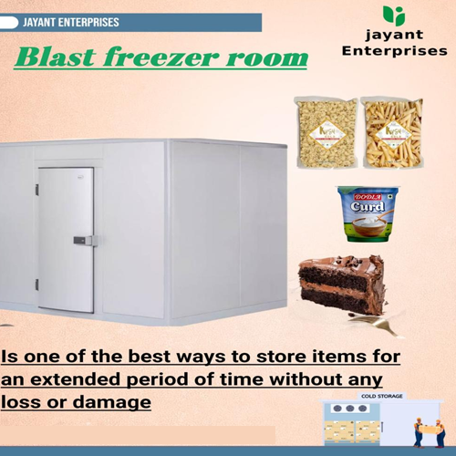 Blast Freezer Storage Chamber - Capacity: 5 Ton