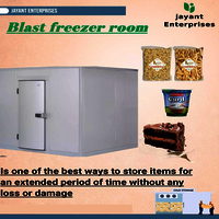 Blast Freezer Storage Chamber - Capacity: 5 Ton