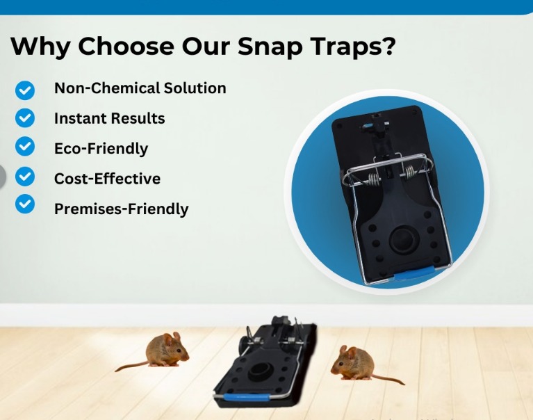 Rat Snap Trap - Feature: High Efficiency