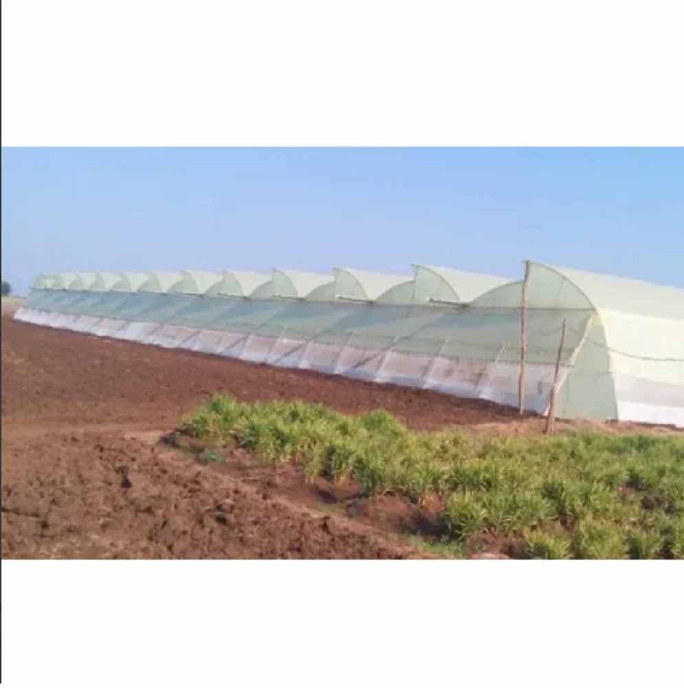 Polyhouse Plastic Film | Govind Greenhouse Polyhouse