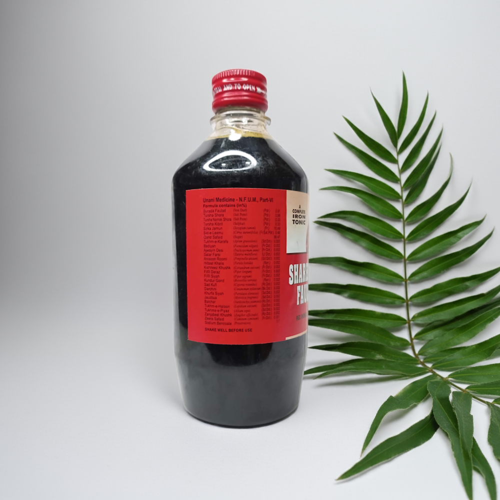 Rex Sharbat E Faulad 500ml