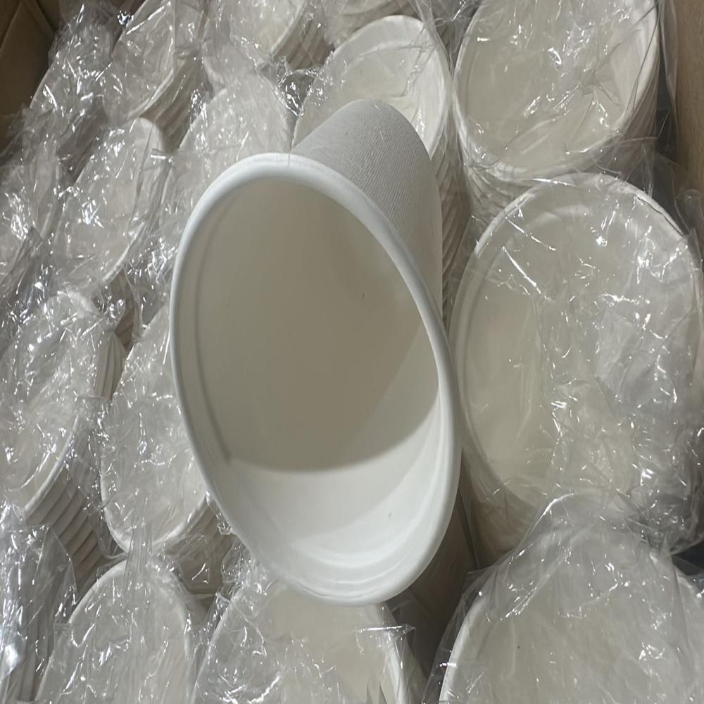 250ml Baggase Glass - Application: Food Packaging