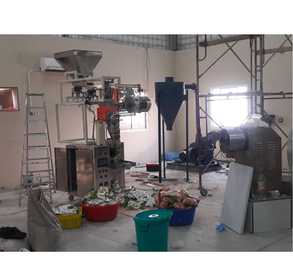 Online Induction Sealer Machine - Application: Industrial