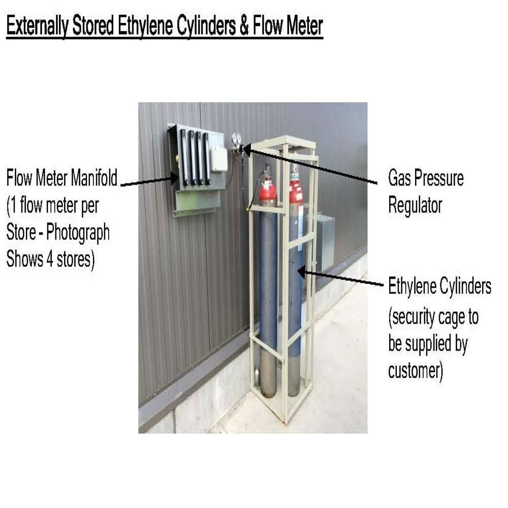 Potato storage with sprouting inhibitor