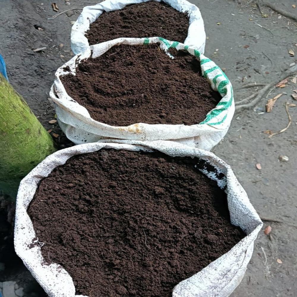 Lumbricus Rubellus Live Earthworms Vermicompost , 1 Kg, Cloth Bag