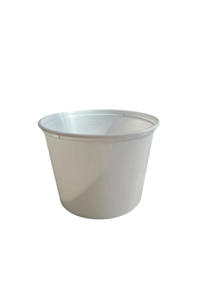 250ml Plastic Container Box