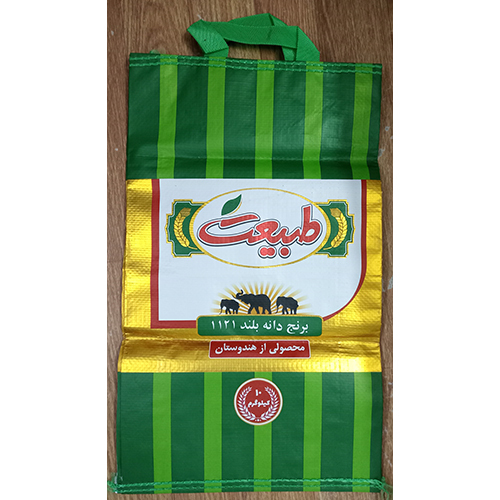 Mettalic Bopp Handle Bag