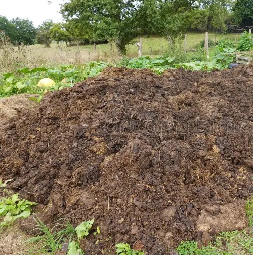 Decomposition manure