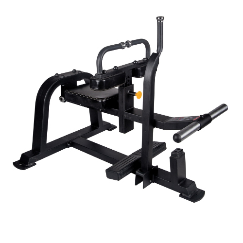 Seated Calf Machine