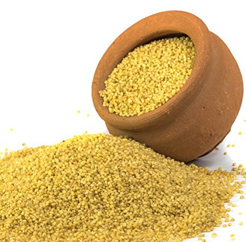 फॉक्सटेल बाजरा