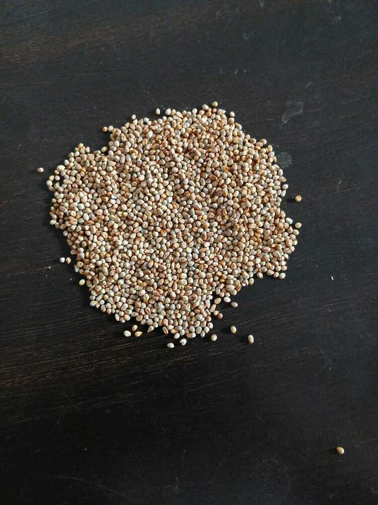 Bajara Maize - Broken Ratio (%): A  A  3%