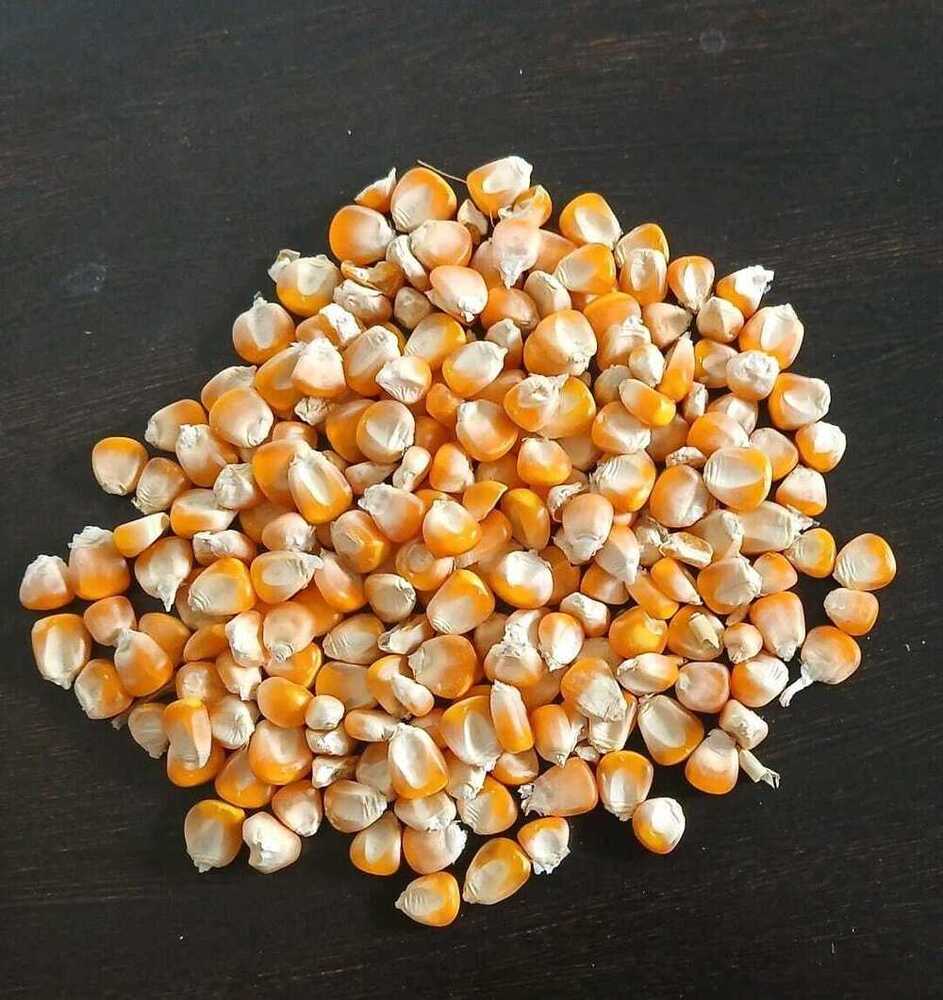 Maize Grain - Broken Ratio (%): A  A  3%