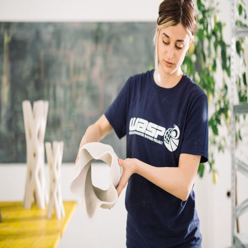 Delta WASP 2040 Clay