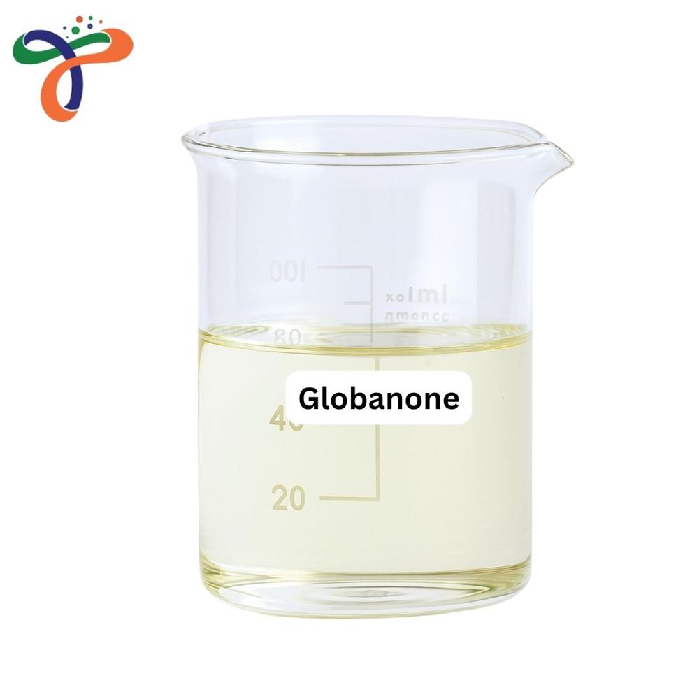 Globa None