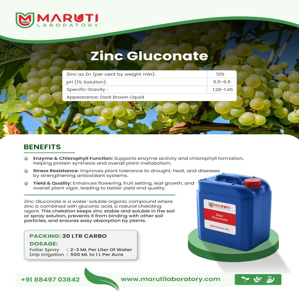 Zinc Gluconate