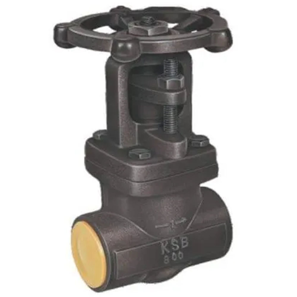 KSB Make Forged Steel Globe Valves Class 800 Socket Weld