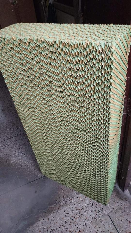 Green House Evaporative Cooling Pad In Ludhiana Punjab