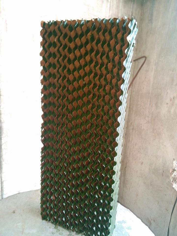 Green House Evaporative Cooling Pad In Ludhiana Punjab