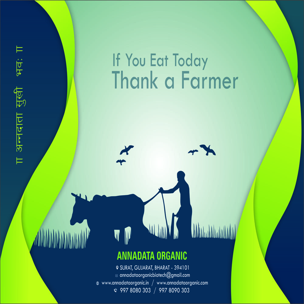 Potato & Ginger & Turmeric Special Fertilizer