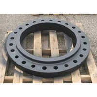 Alloy Steel Forged Flanges