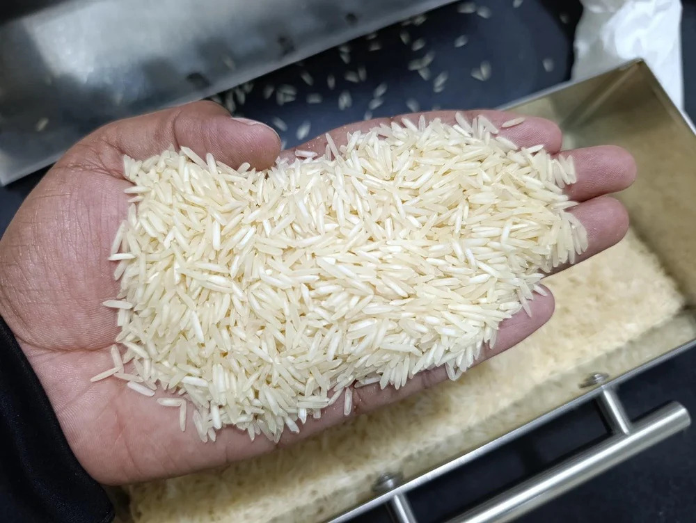 1121 Basmati Rice - Color: White