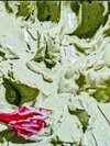 Avocado Extra Whitening Cream - Characteristics: 100% Herbal