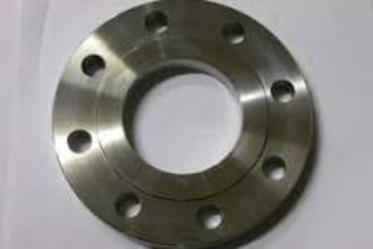Hastelloy Flanges