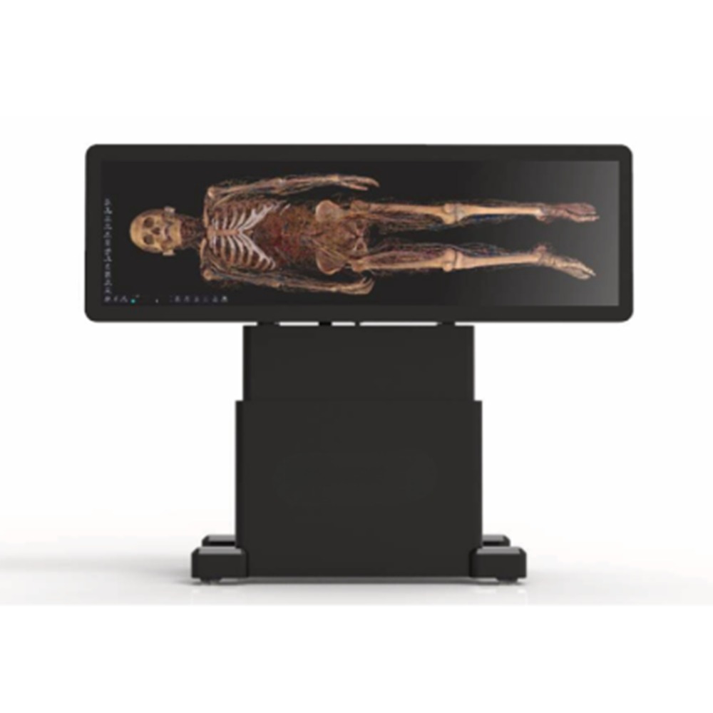 HD Virtual Dissection Table 88