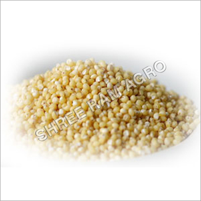 बाजरा के बीज