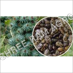 रोलर बीज से निकाली गई केक