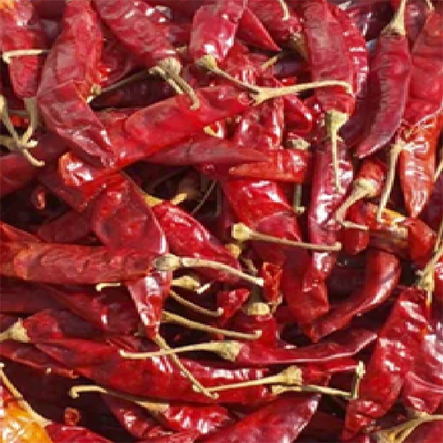 Teja-Sannam-Byadgi-Kashmiri Dry Red Chilli