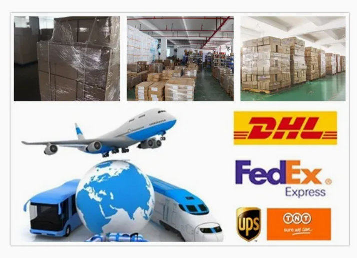 DC Motor Manufacturer 42sp -24V 4000 Brushless DC Motor/BLDC Motor High Quality