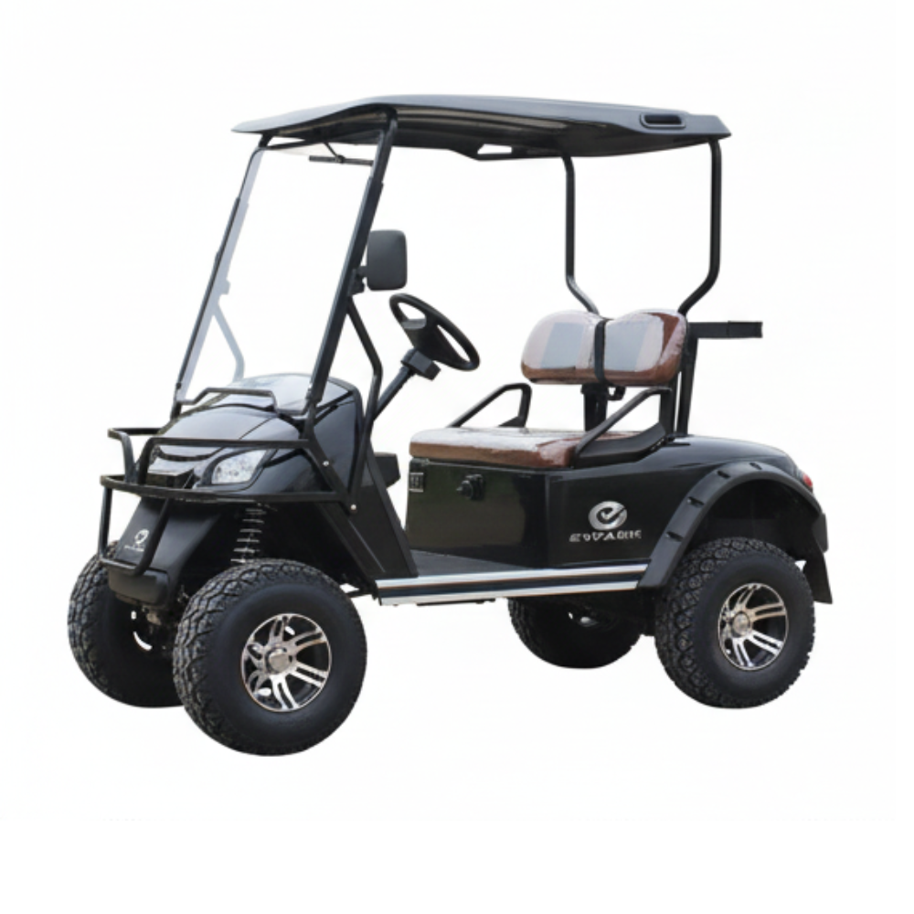 Electric Golf Cart 2 Seater