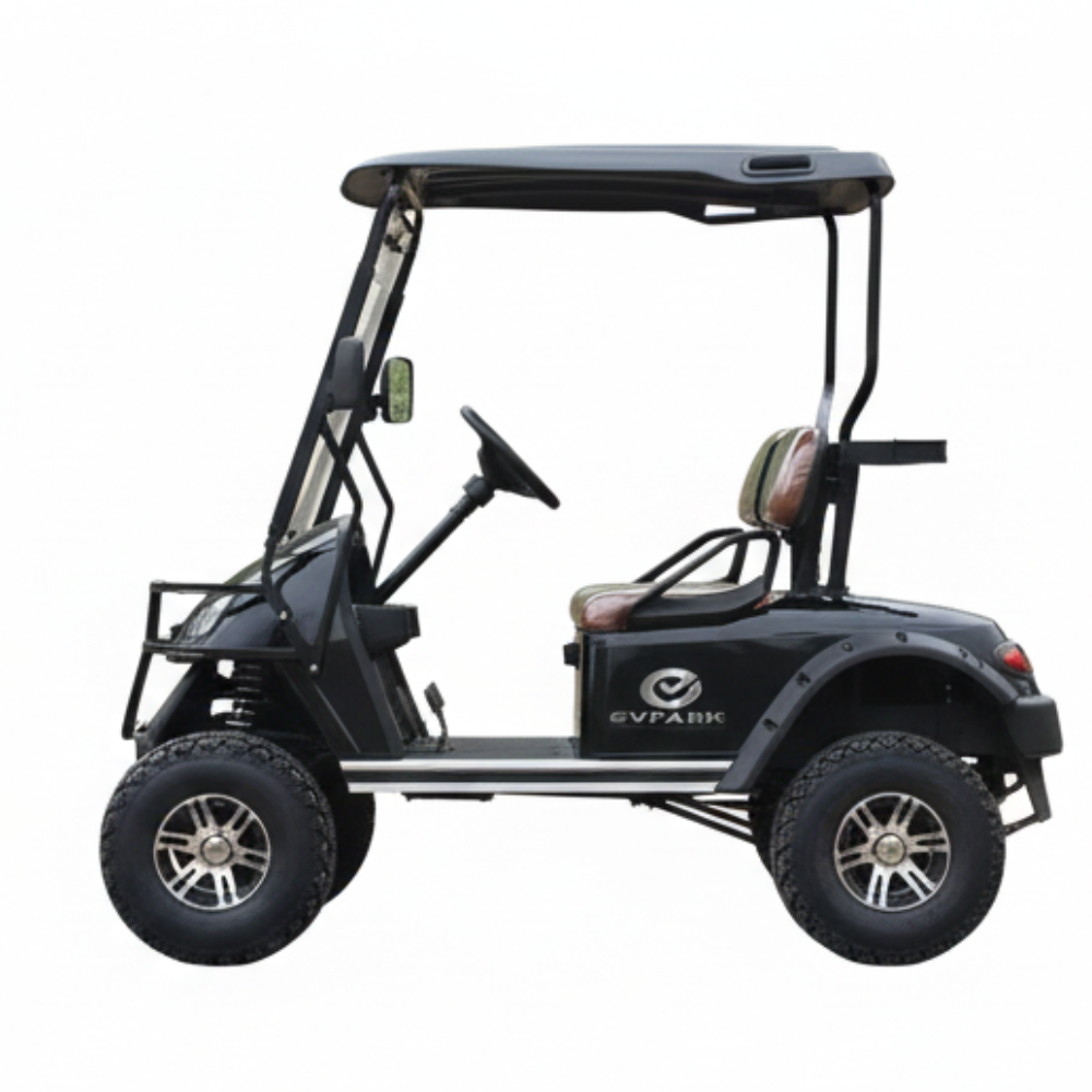 Electric Golf Cart 2 Seater