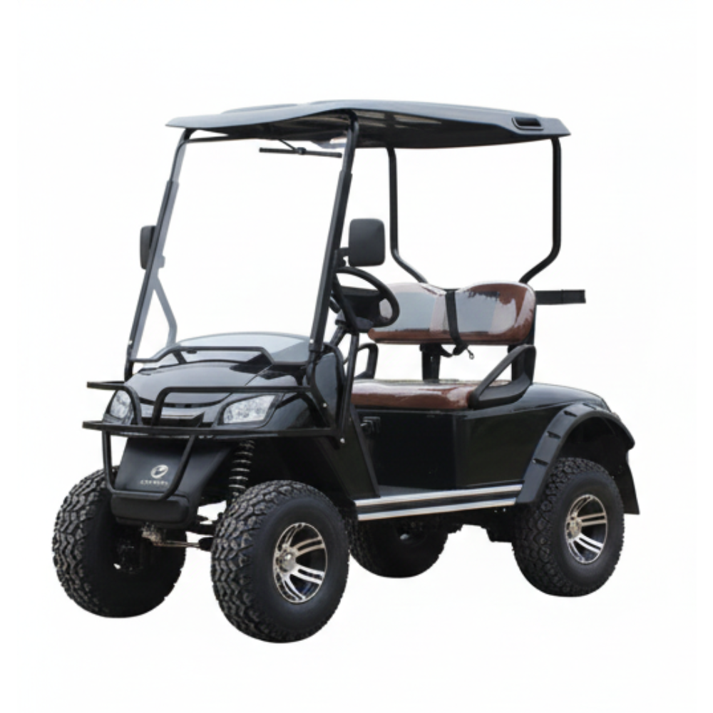 Electric Golf Cart 2 Seater