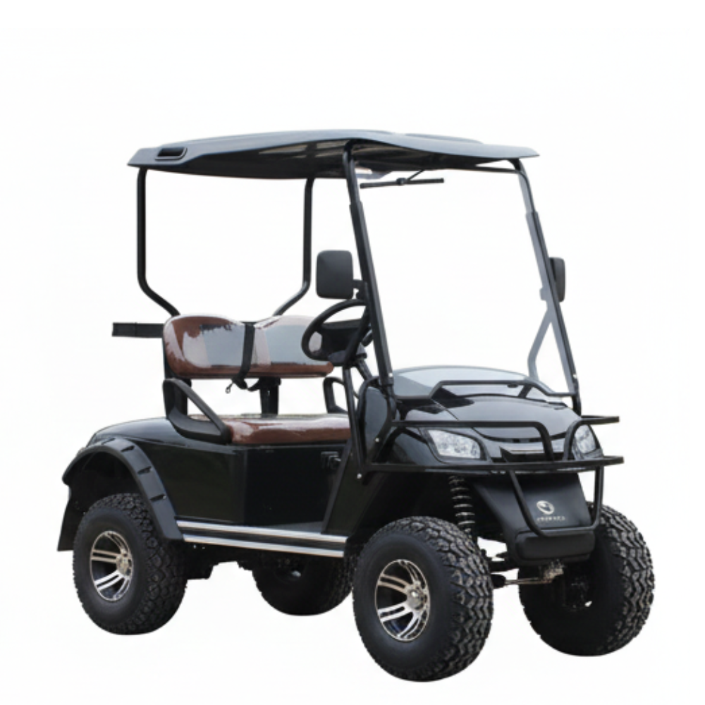 2 Seater E Golf Cart